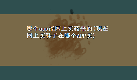 哪个app能网上买药来的(现在网上买鞋子在哪个APP买)