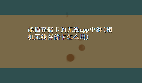 能插存储卡的无线app中继(相机无线存储卡怎么用)