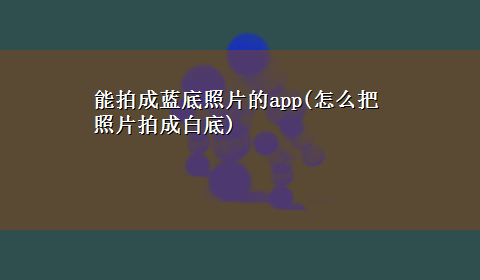 能拍成蓝底照片的app(怎么把照片拍成白底)