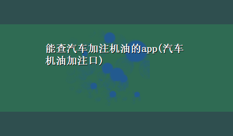 能查汽车加注机油的app(汽车机油加注口)