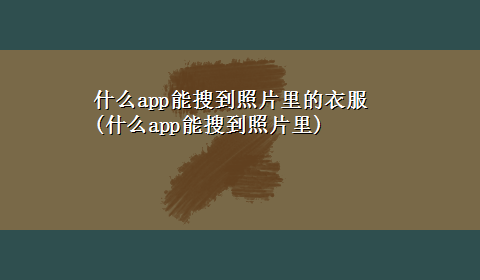 什么app能搜到照片里的衣服(什么app能搜到照片里)