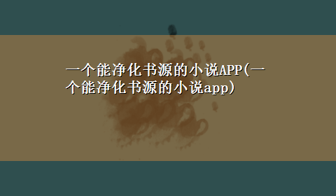 一个能净化书源的小说APP(一个能净化书源的小说app)