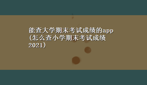 能查大学期末考试成绩的app(怎么查小学期末考试成绩2021)