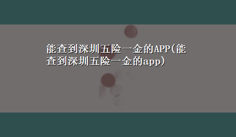 能查到深圳五险一金的APP(能查到深圳五险一金的app)