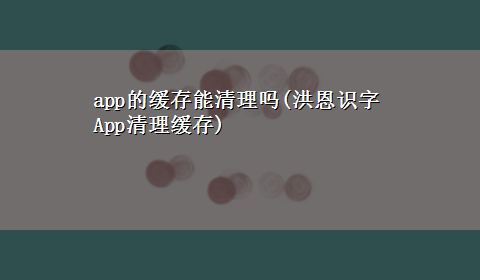 app的缓存能清理吗(洪恩识字App清理缓存)