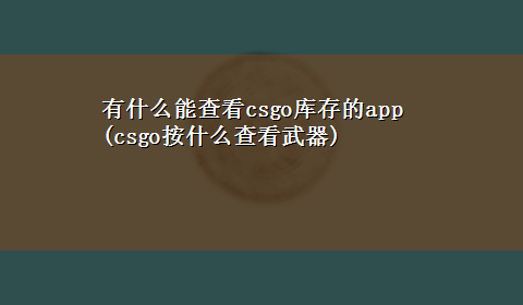 有什么能查看csgo库存的app(csgo按什么查看武器)