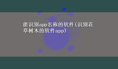 能识别app名称的软件(识别花草树木的软件app)