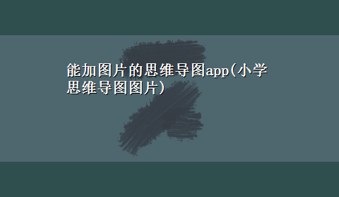 能加图片的思维导图app(小学思维导图图片)