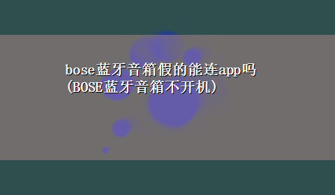 bose蓝牙音箱假的能连app吗(BOSE蓝牙音箱不开机)