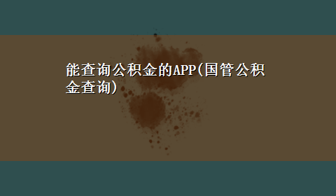 能查询公积金的APP(国管公积金查询)