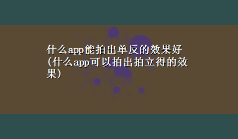 什么app能拍出单反的效果好(什么app可以拍出拍立得的效果)