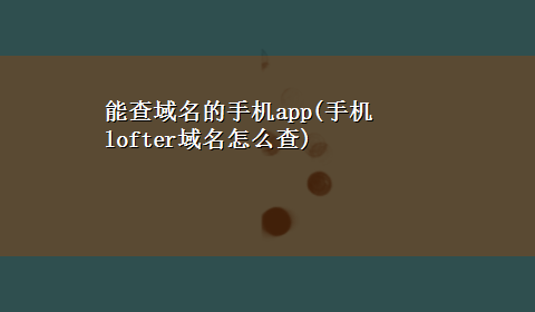 能查域名的手机app(手机lofter域名怎么查)