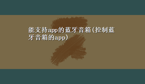 能支持app的蓝牙音箱(控制蓝牙音箱的app)