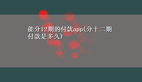 能分12期的付款app(分十二期付款是多久)