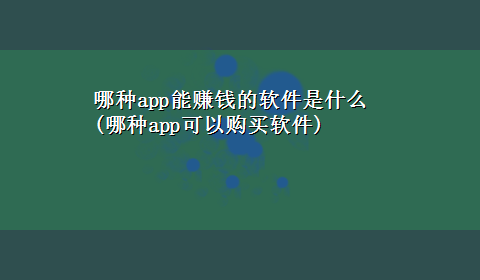 哪种app能赚钱的软件是什么(哪种app可以购买软件)