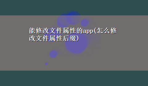 能修改文件属性的app(怎么修改文件属性后缀)