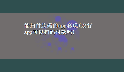 能扫付款码的app套现(农行app可以扫码付款吗)