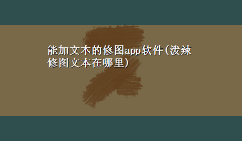 能加文本的修图app软件(泼辣修图文本在哪里)