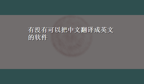 有没有可以把中文翻译成英文的软件