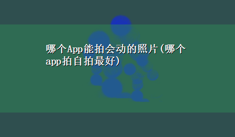 哪个App能拍会动的照片(哪个app拍自拍最好)