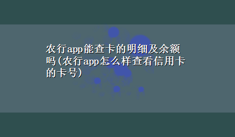 农行app能查卡的明细及余额吗(农行app怎么样查看信用卡的卡号)