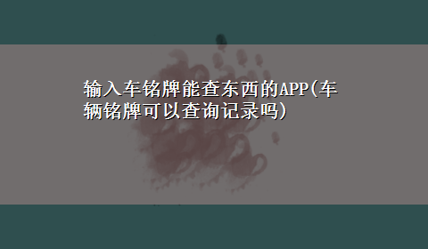 输入车铭牌能查东西的APP(车辆铭牌可以查询记录吗)