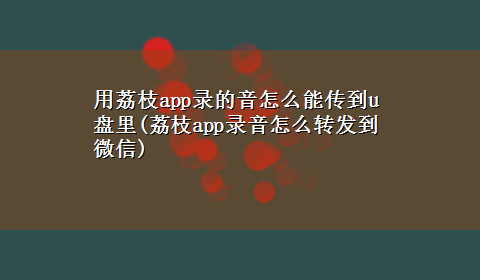 用荔枝app录的音怎么能传到u盘里(荔枝app录音怎么转发到微信)