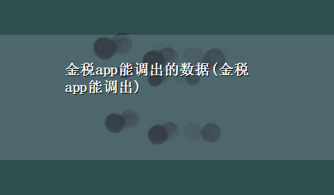 金税app能调出的数据(金税app能调出)