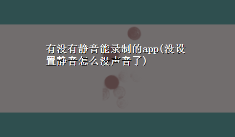 有没有静音能录制的app(没设置静音怎么没声音了)