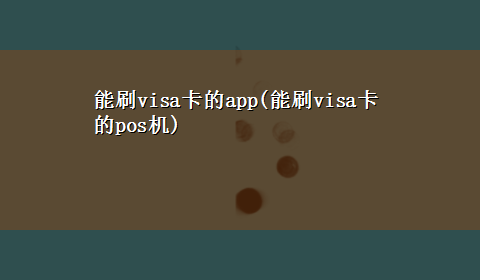 能刷visa卡的app(能刷visa卡的pos机)