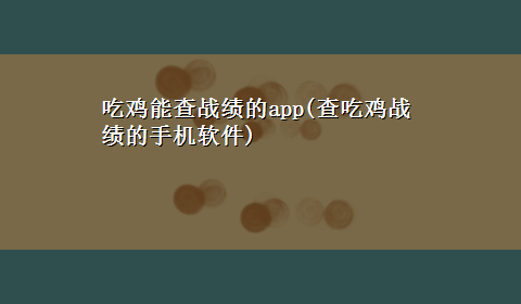 吃鸡能查战绩的app(查吃鸡战绩的手机软件)