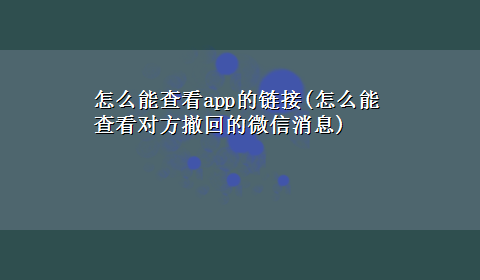 怎么能查看app的链接(怎么能查看对方撤回的微信消息)