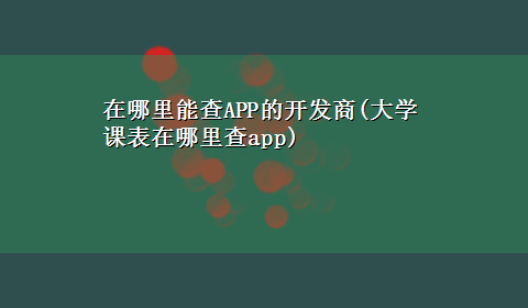 在哪里能查APP的开发商(大学课表在哪里查app)