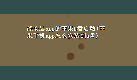 能安装app的苹果u盘启动(苹果手机app怎么安装到u盘)