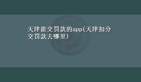 天津能交罚款的app(天津扣分交罚款去哪里)