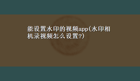 能设置水印的视频app(水印相机录视频怎么设置?)