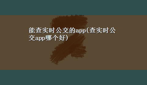 能查实时公交的app(查实时公交app哪个好)