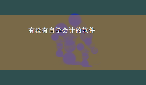 有没有自学会计的软件