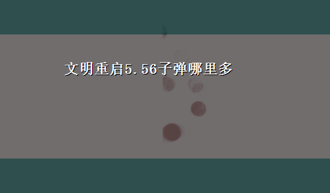 文明重启5.56子弹哪里多