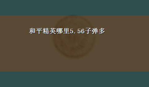 和平精英哪里5.56子弹多