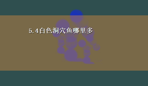 5.4白色洞穴鱼哪里多