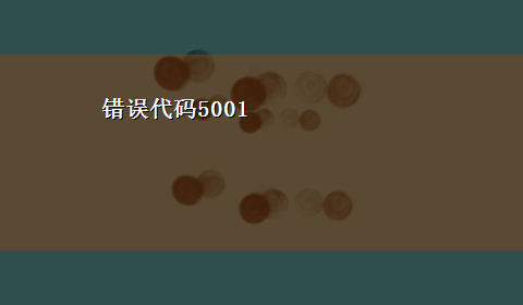 错误代码5001