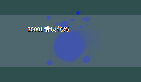 20001错误代码