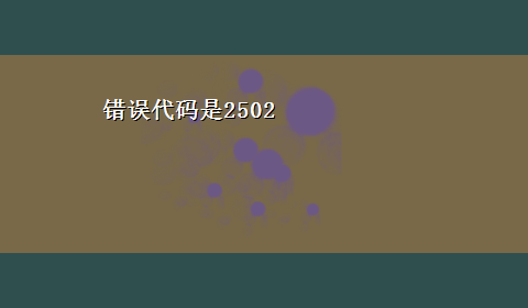 错误代码是2502