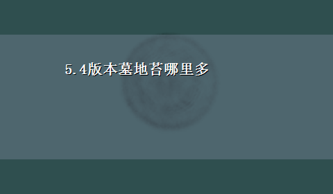 5.4版本墓地苔哪里多