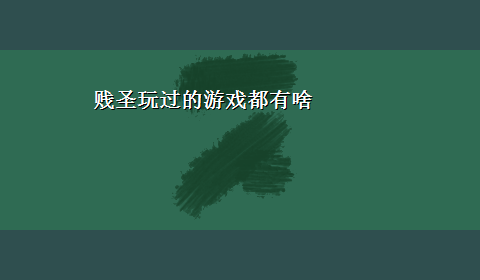 贱圣玩过的游戏都有啥