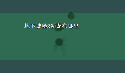 地下城堡2幼龙在哪里