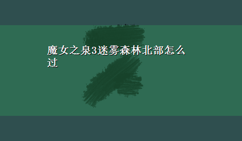 魔女之泉3迷雾森林北部怎么过