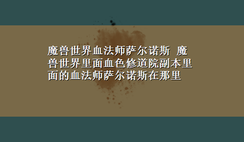 魔兽世界血法师萨尔诺斯 魔兽世界里面血色修道院副本里面的血法师萨尔诺斯在那里