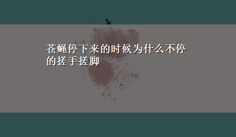 苍蝇停下来的时候为什么不停的搓手搓脚